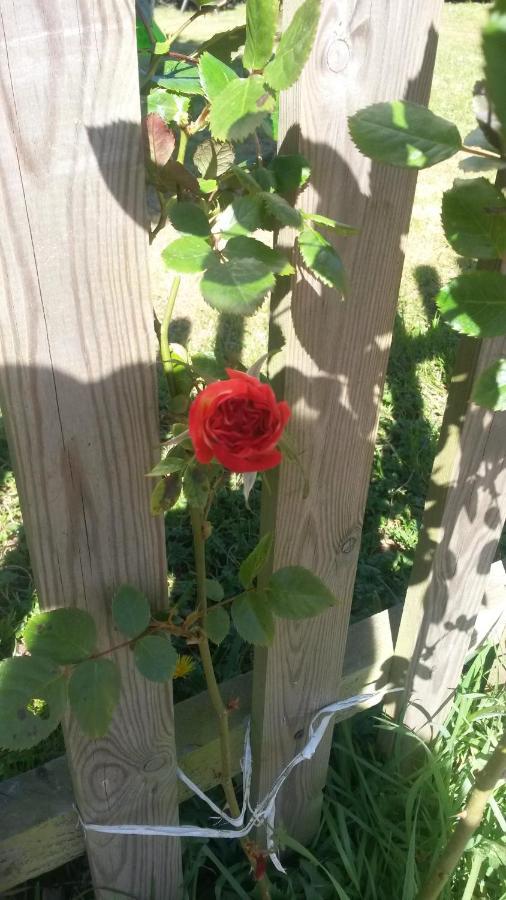 Rose View Cottage Le Cambout 外观 照片