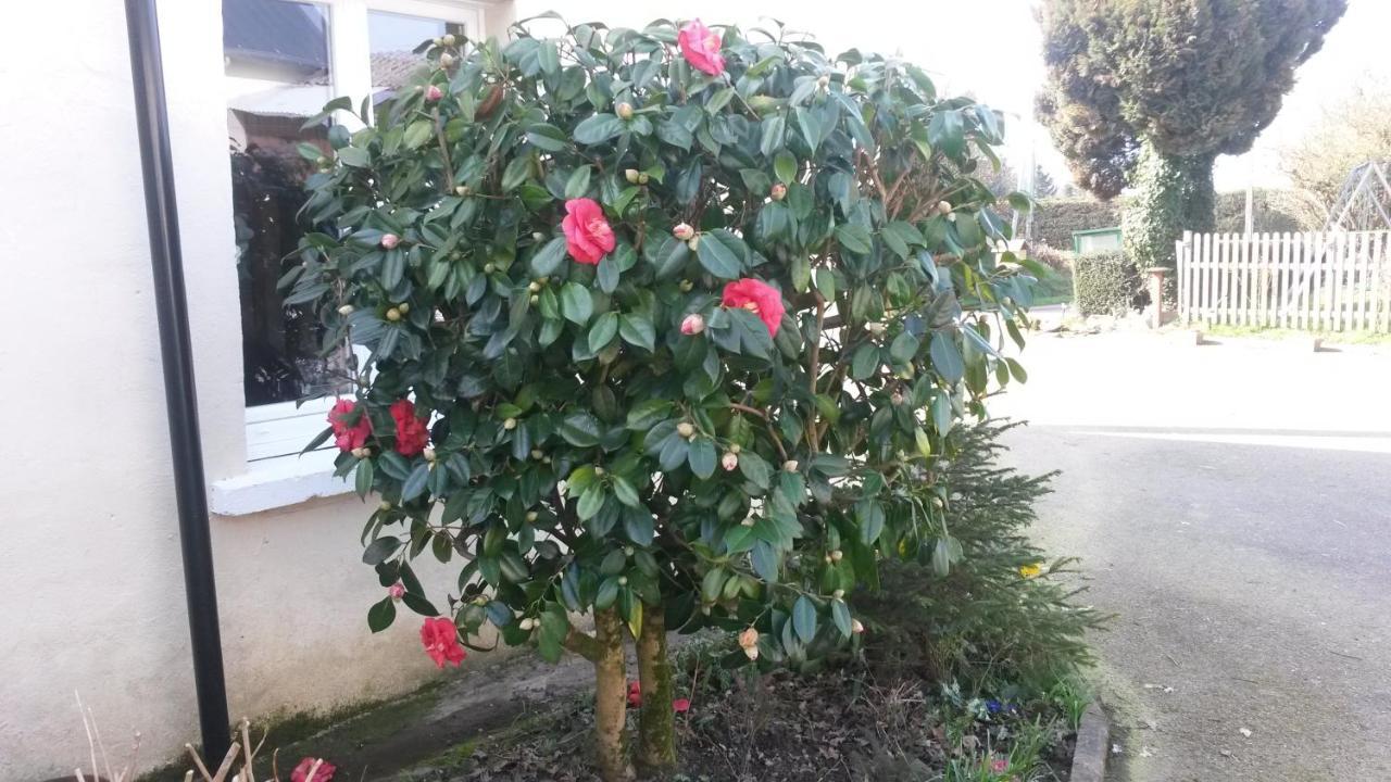 Rose View Cottage Le Cambout 外观 照片