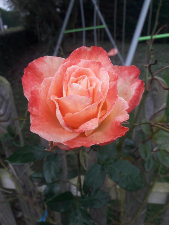 Rose View Cottage Le Cambout 外观 照片
